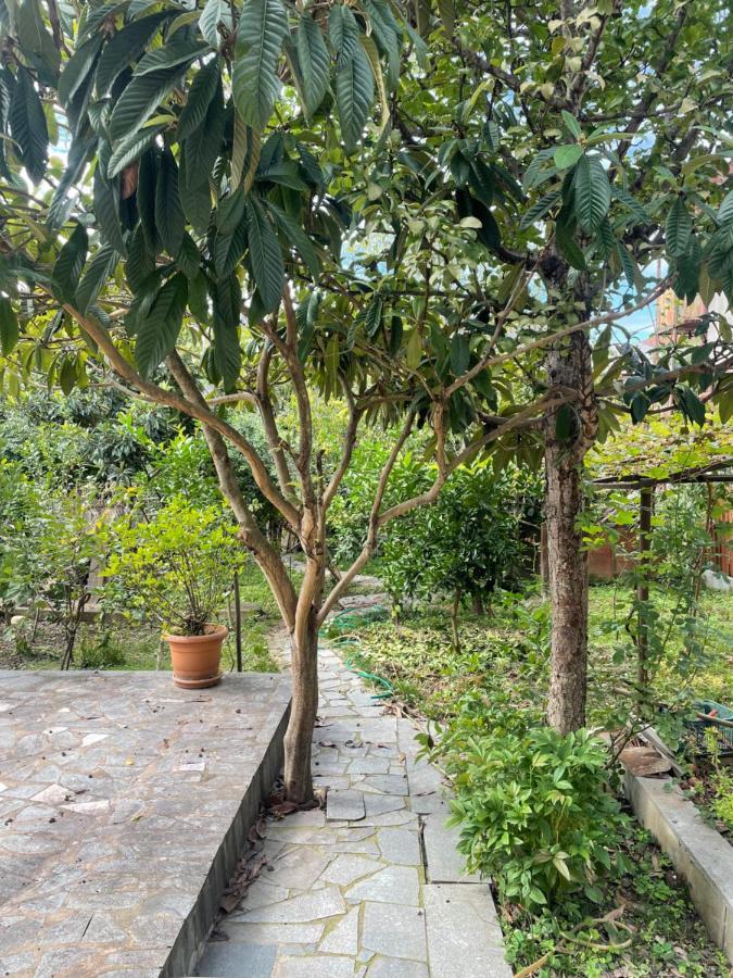 Gardenie Apartment Kutaisi Luaran gambar